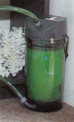 Canister Filter