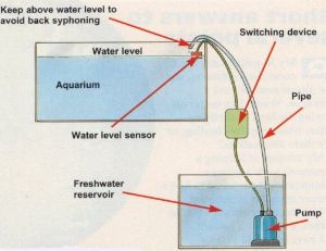 Fully automatic reservior