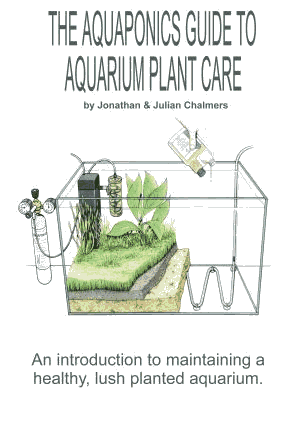 Aquaponics Guide To Aquarium Plant Care