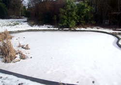 Caring for Your Fishpond in Winter Months