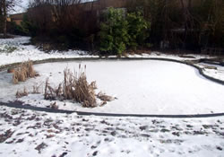 Caring for Your Fishpond in Winter Months